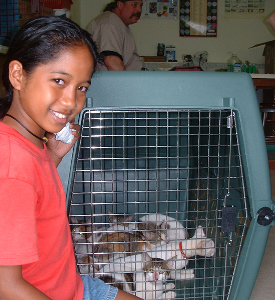 Importing and Exporting Pets – Palau Animal Welfare Society
